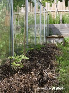 Découvrez la culture en lasagne dans votre potager en permaculture