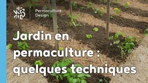 Jardin en permaculture : quelques techniques…