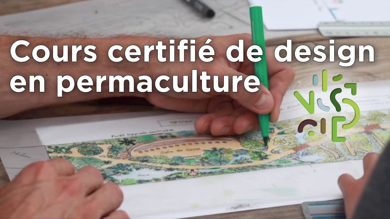 Video cours certifié de design en permaculture