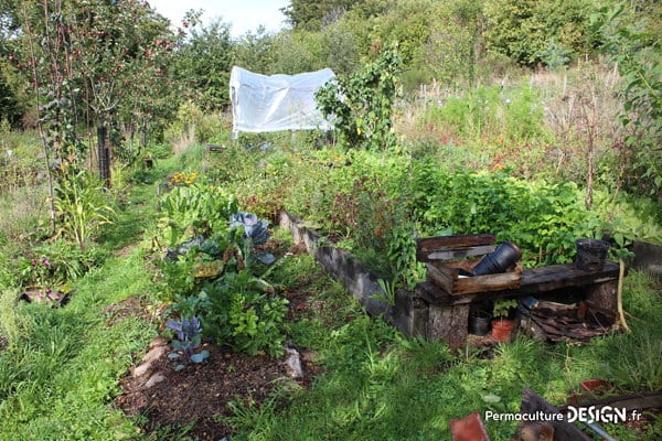 Jardin-potager en permaculture.
