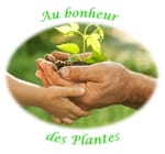 Une formation vidéo en ligne pour apprendre à identifier et utiliser les plantes sauvages comestibles et médicinales au quotidien grâce à des recettes