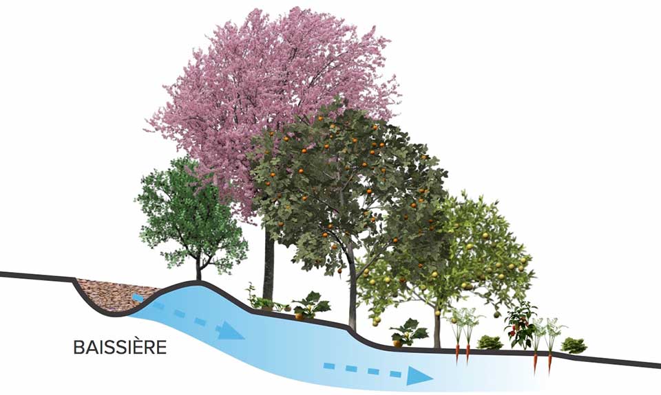 Dans un design de permaculture, récupérer et stocker l’eau de pluie sur son site sont des actions incontournables à bien réfléchir pour en optimiser l’efficacité en fonction de ses objectifs et son contexte.