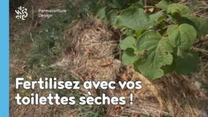 Fertilisez avec vos toilettes sèches !