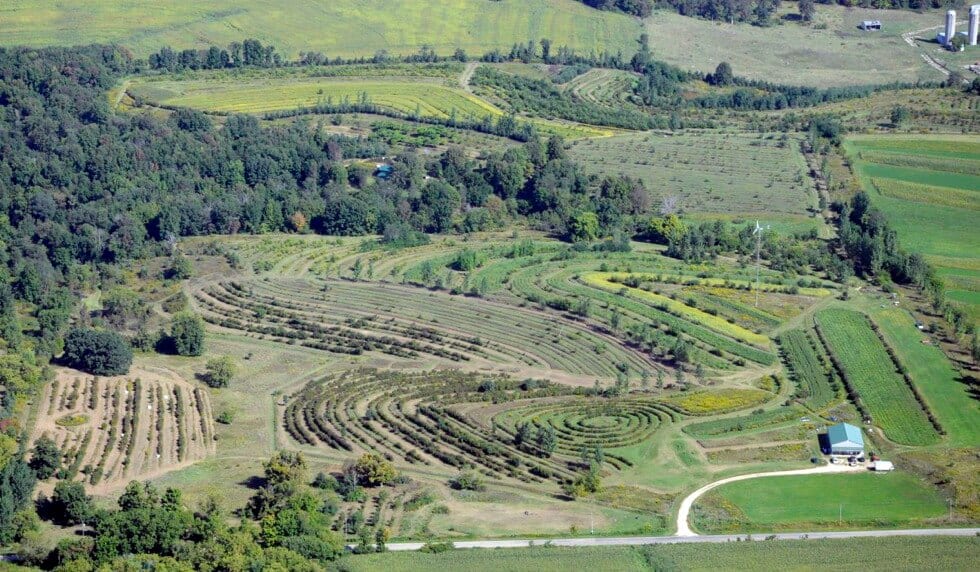 La ferme « New Forest Farm » dans le Wisconsin de Mark Shepard