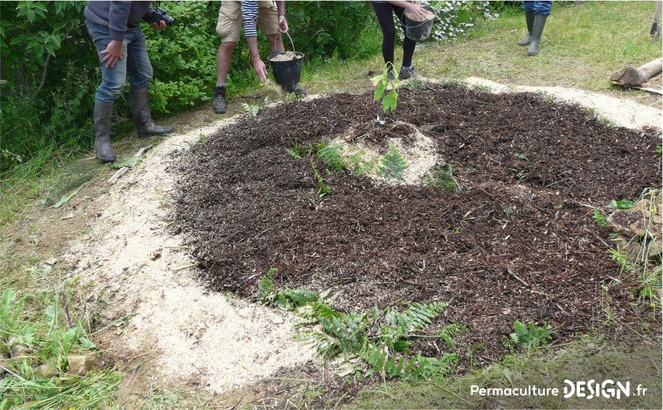 Pour le compostage des matières organiques, la machine à compost est idéale.