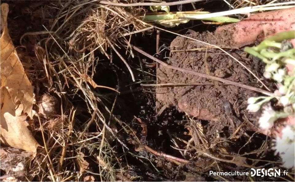 Pour le compostage des matières organiques, la machine à compost est idéale.