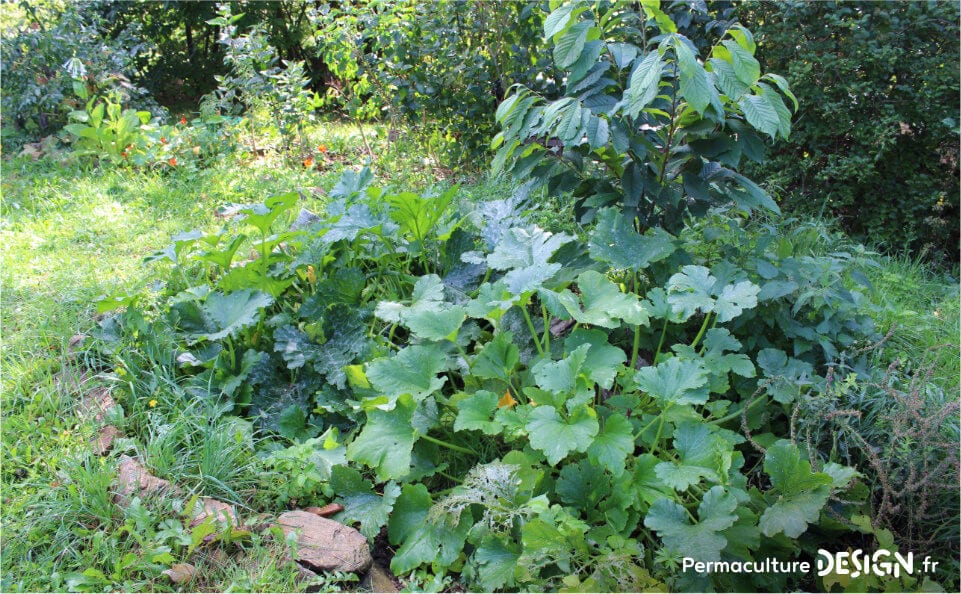 Pour le compostage des matières organiques, la machine à compost est idéale.