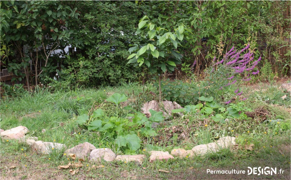 Pour le compostage des matières organiques, la machine à compost est idéale.