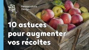 10 astuces pour augmenter vos récoltes…