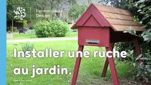 Comment installer une ruche dans votre jardin ?