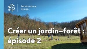 Créer collectivement un jardin-forêt en permaculture : épisode 2, les premières plantations