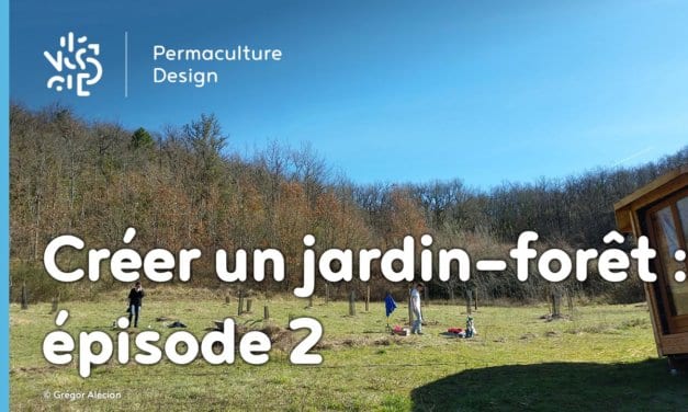 Créer collectivement un jardin-forêt en permaculture : épisode 2, les premières plantations