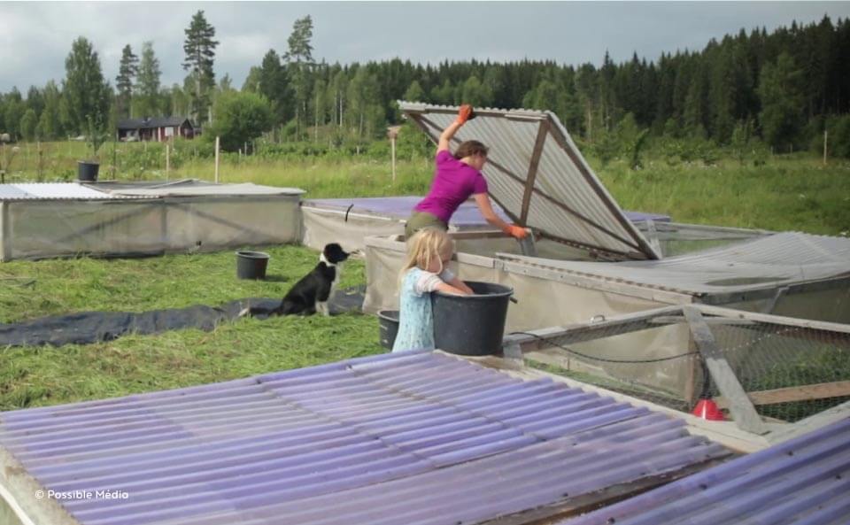 Le film sur Ridgedale Permaculture en Suède nous plonge dans le quotidien de celles et ceux qui font de cette ferme un lieu innovant et régénérateur.