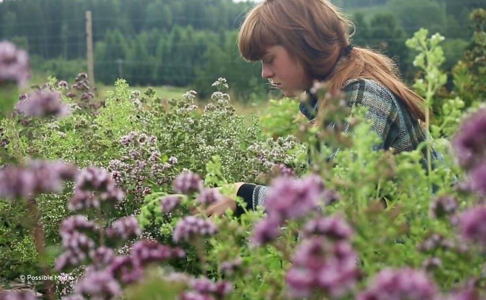 Le film sur Ridgedale Permaculture en Suède nous plonge dans le quotidien de celles et ceux qui font de cette ferme un lieu innovant et régénérateur.