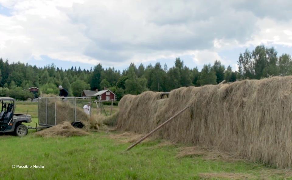 Le film sur Ridgedale Permaculture en Suède nous plonge dans le quotidien de celles et ceux qui font de cette ferme un lieu innovant et régénérateur.