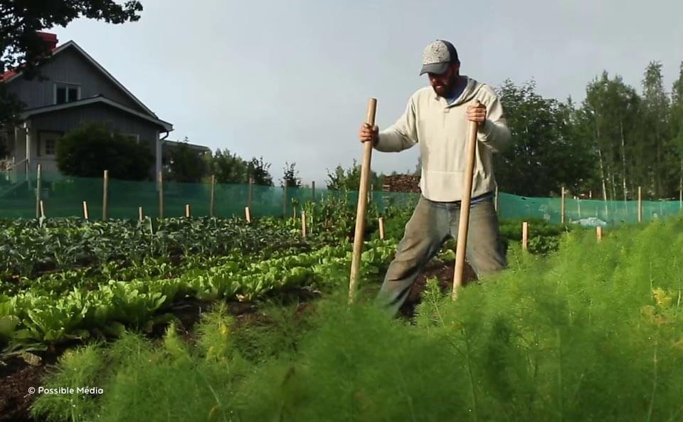 Le film sur Ridgedale Permaculture en Suède nous plonge dans le quotidien de celles et ceux qui font de cette ferme un lieu innovant et régénérateur.