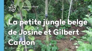 Le jardin-forêt en permaculture des fraternités ouvrières de Mouscron en Belgique.