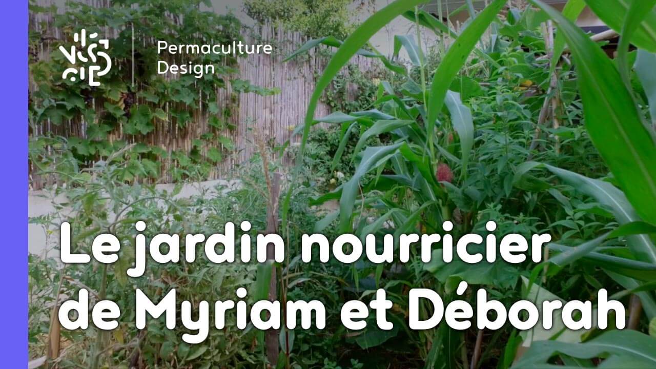 Grâce à la formation « Invitez la permaculture dans votre jardin », Myriam et Déborah ont transformé un parking en jardin potager résilient.