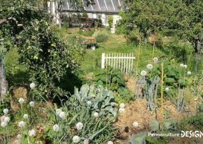 Julie et Ludovic ont réussi à transformer un verger classique en jardin d’abondance grâce au design de permaculture.