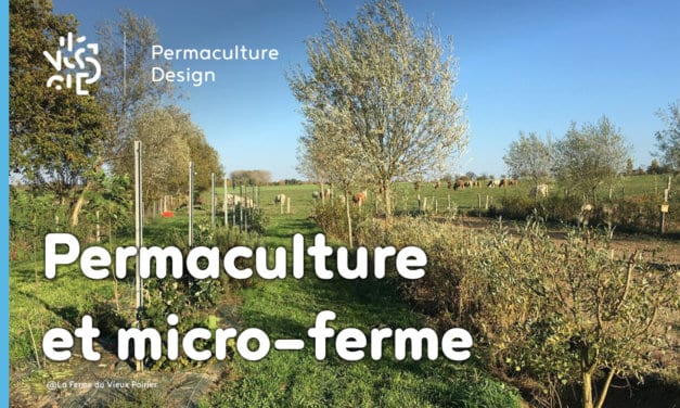 ​​Comment transformer sa micro-ferme grâce à la permaculture ?