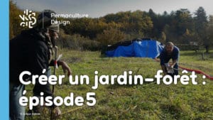 Créer collectivement un jardin-forêt en permaculture : épisode 5, le bilan après un an d’aventure !