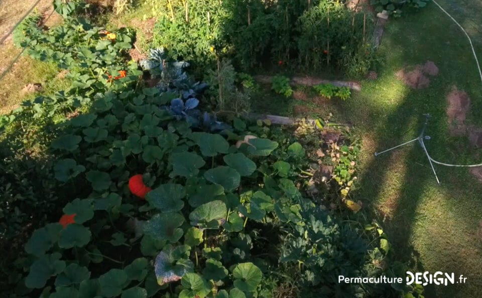 Membre de notre formation en ligne « Invitez la permaculture dans votre jardin », Mathilde a appliqué la méthodologie de design à son projet de vie global, lui permettant de réaliser, à son rythme, son changement de vie.