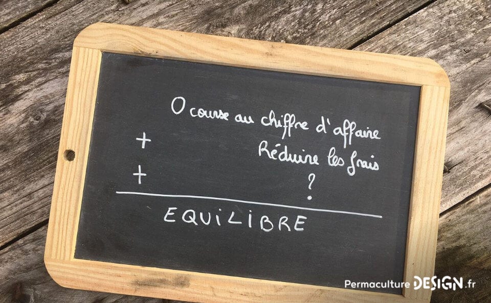 Gérants d’une micro-ferme en permaculture, Lauriane et Charles nous expliquent comment ils ont atteint la rentabilité économique suffisante pour pérenniser leur exploitation.