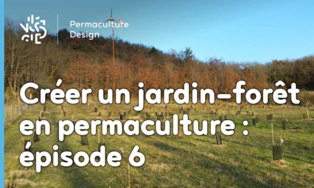 Créer collectivement un jardin-forêt en permaculture : épisode 6, les entretiens de la nouvelle année.