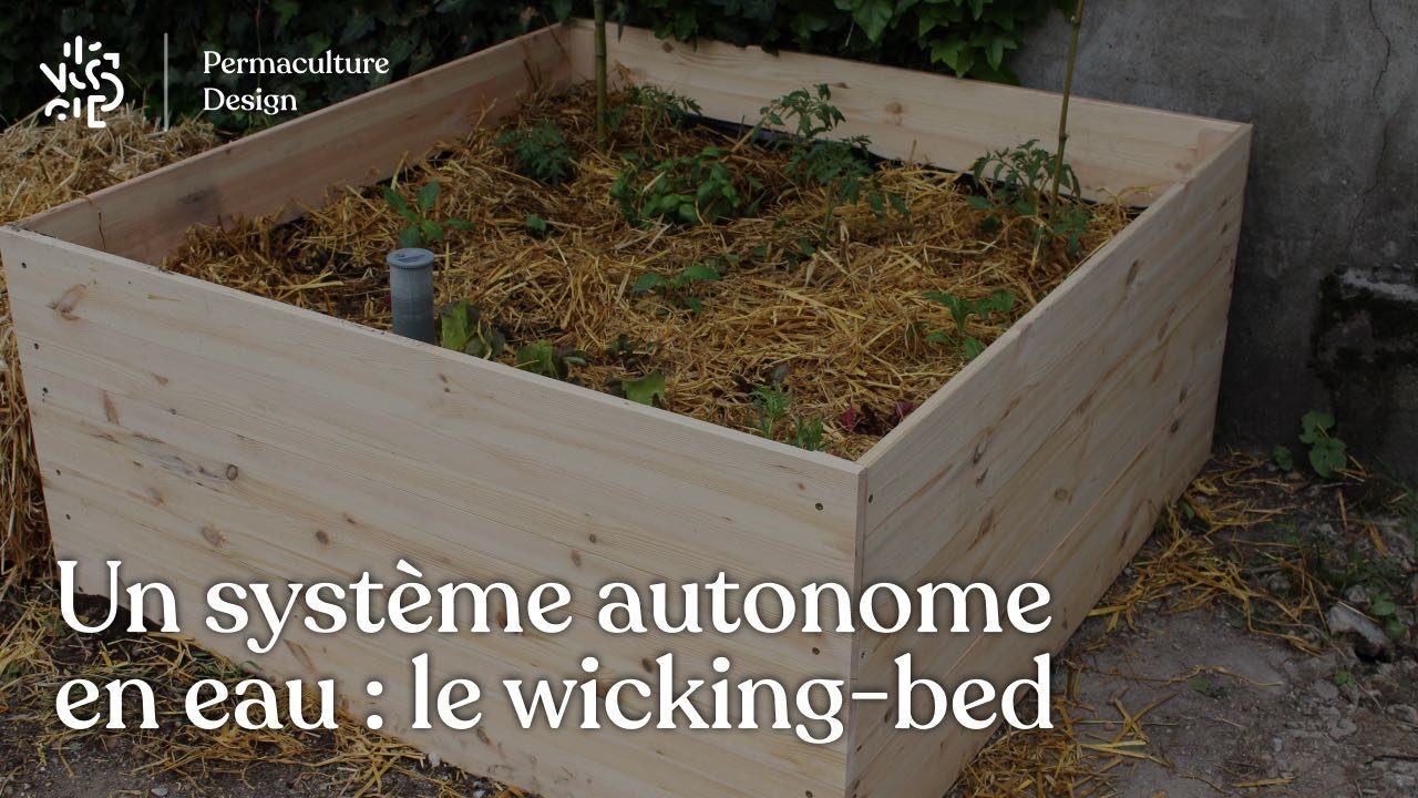 Une jardinière autonome en eau : le wicking bed