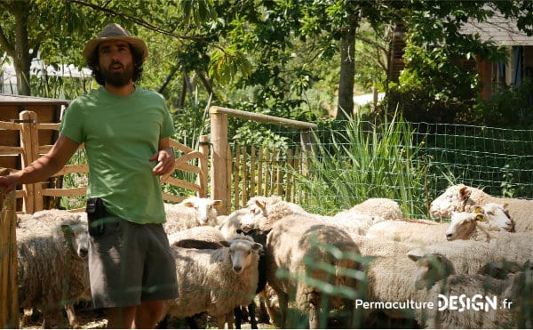 La ferme du Bec Hellouin, a été conçue par Perrine et Charles Hervé-Gruyer grâce aux principes de permaculture et la méthodologie de design.