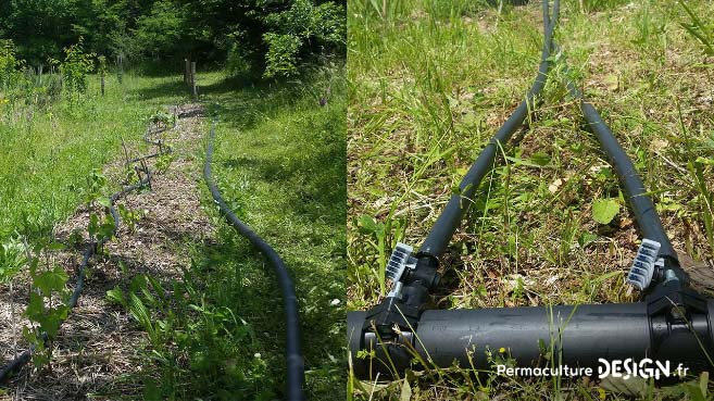 Découvrez les soins et entretiens du sol réalisés cet hiver et les nouveautés mises en place au jardin-forêt en permaculture du projet TERA pour produire à terme un maximum de nourriture.