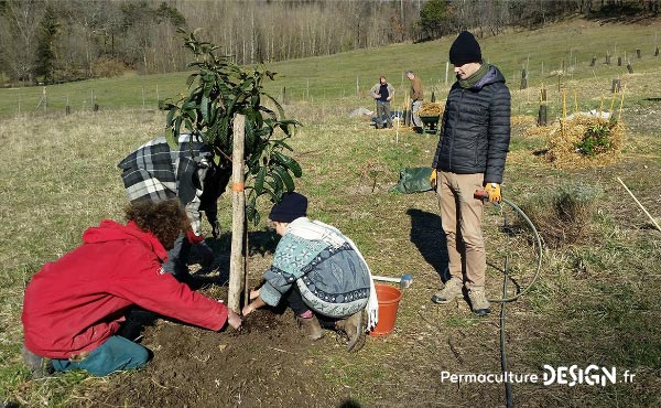 Découvrez les soins et entretiens du sol réalisés cet hiver et les nouveautés mises en place au jardin-forêt en permaculture du projet TERA pour produire à terme un maximum de nourriture.