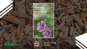 Livre Plantes sauvages comestibles, mode d’emploi