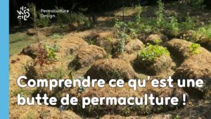 Une butte de permaculture, c’est quoi ?