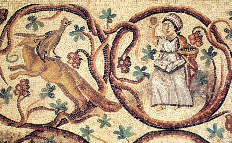 Hervé Husson nous raconte la vraie nature de la poule, ses origines et l’histoire de son élevage à travers les âges.
