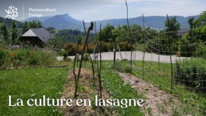 La culture en lasagne en Permaculture