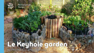 Keyhole garden ou jardin en trou de serrure