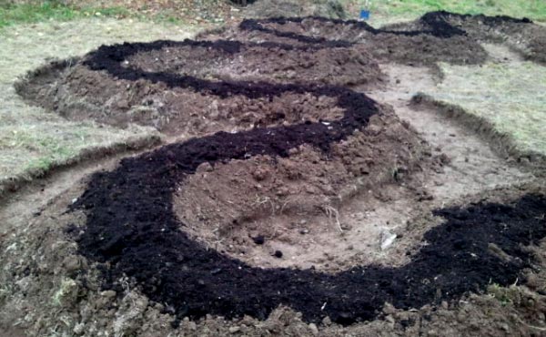 Un jardin mandala en permaculture requiert un agencement spécifique avec des buttes et divers supports de cultures pour créer un espace beau, harmonieux et inspirant riche en biodiversité.