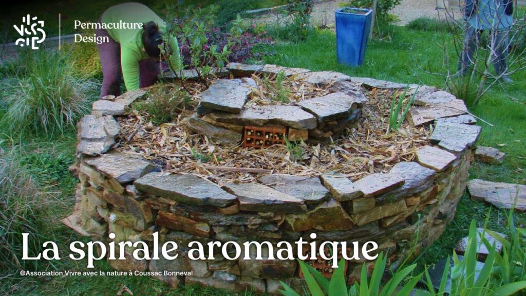 La spirale aromatique en permaculture est un genre de butte s’inspirant d’un modèle naturel très efficace pour créer, sur un espace restreint, plusieurs microclimats différents permettant l’installation de plantes aromatiques et médicinales très variées.