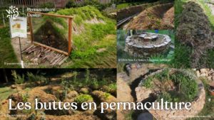 Butte de permaculture : le guide complet