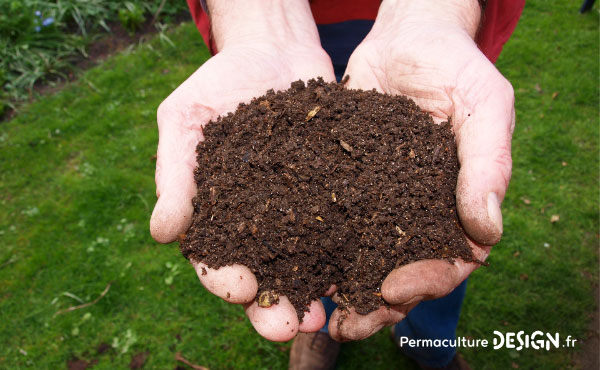 Brass compost : qu'est-ce que c'est et quelle est son utilité ?