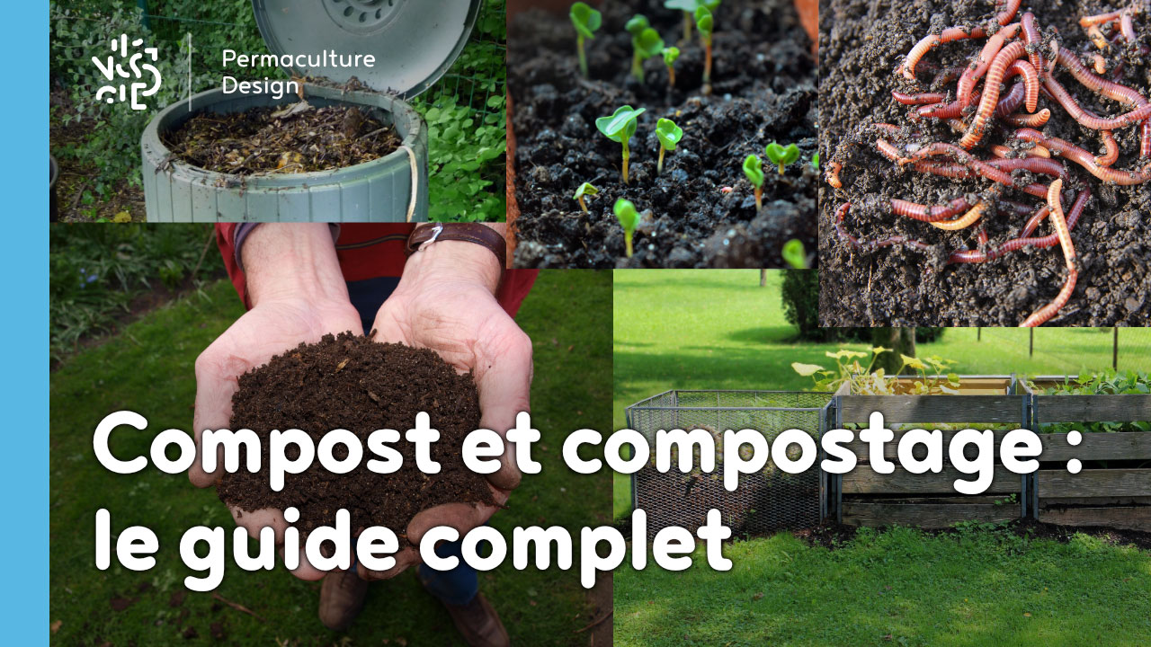 Compost Et Compostage : Le Guide Complet