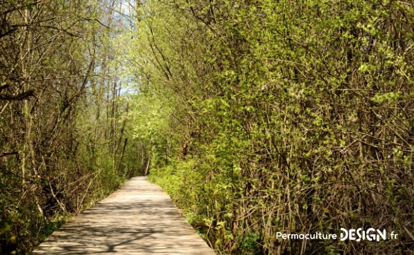 Met De Foret à Fendre Le Bois, Foret Robuste Et Durable Pour