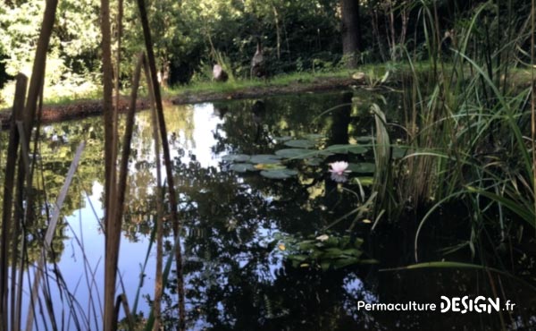 Vidéo sur l’aménagement d’un jardin en permaculture, un jardin à la fois anti-crise, partage et santé !