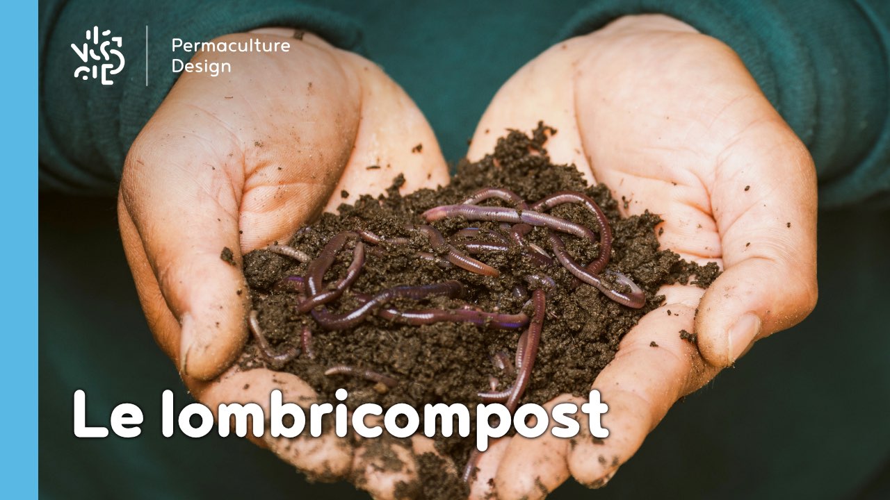 Dans votre composteur, ne confondez pas lombrics et vers de compostage !