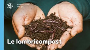 Lombricomposteur : faire votre lombricompost simplement