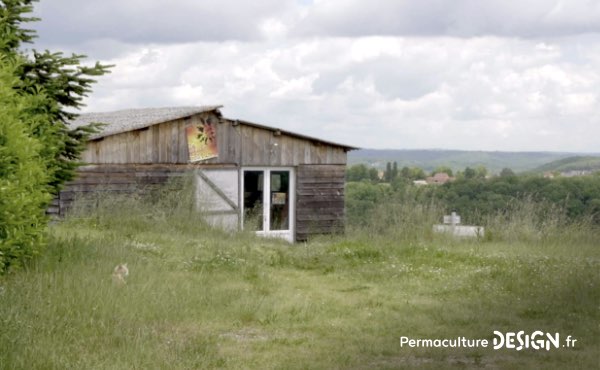 Un ancien potager traditionnel transformé en foret jardin en permaculture grâce aux guildes autour des arbres fruitiers.