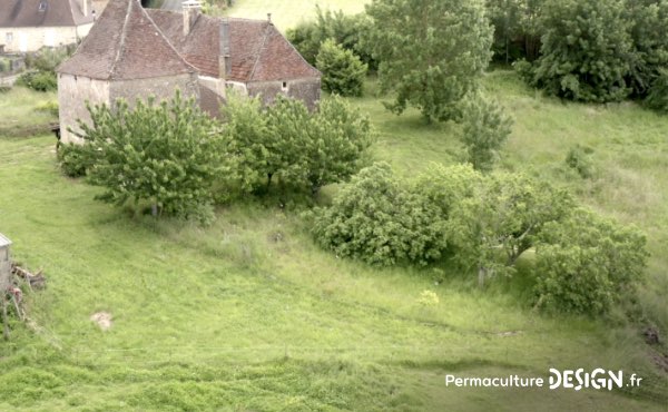 Un ancien potager traditionnel transformé en foret jardin en permaculture grâce aux guildes autour des arbres fruitiers.