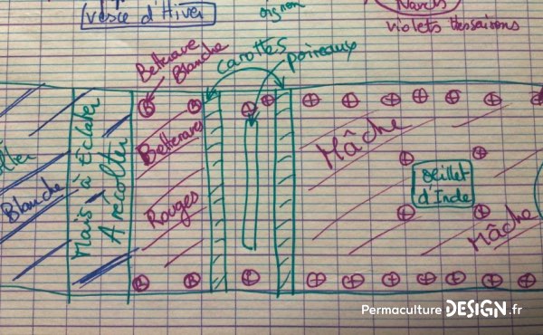 Faire ses plans potagers est une étape incontournable de l’organisation au jardin. On peut s’aider de codes couleurs pour distinguer, par exemple, les plantes en fin de culture, les plantes en début de culture et celles à venir… À chacun de trouver la méthode qui lui conviendra !!