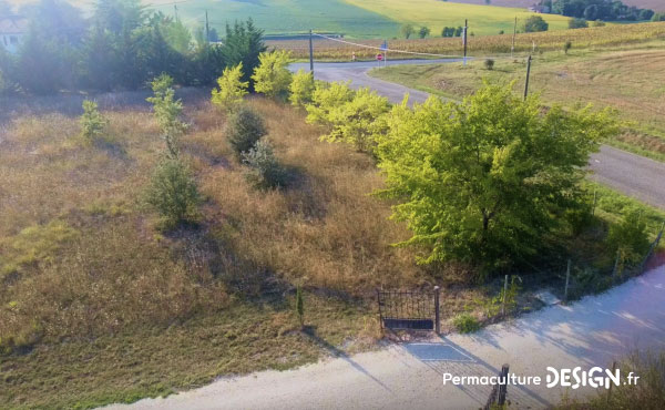 Plantation de grands arbres et notamment de chênes, en sol très sec argilo-calcaire sur la bordure nord de leur terrain.
